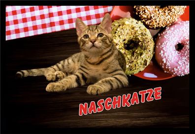 Fußmatte Schmutzfangmatte Naschkatze Kuchen rutschfest F836 60x40 cm