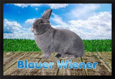 Fußmatte Schmutzfangmatte Kaninchen Blauer Wiener F829 75x50 cm
