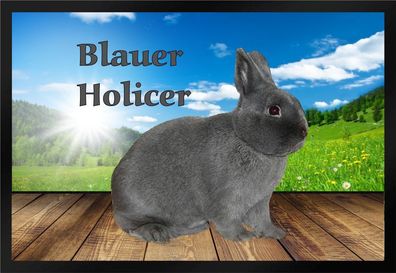 Fußmatte Schmutzfangmatte Kaninchen Blauer Holicer F828 75x50 cm