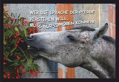 Fußmatte Schmutzfangmatte Sprache der Pferde verstehen F810 75x50 cm