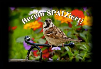 Fußmatte Schmutzfangmatte Herein SPATZiert F768 75x50 cm