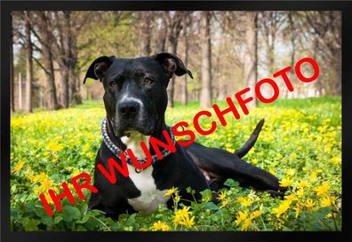 Fußmatte Schmutzfangmatte Ihr Wunschfoto Ihr Text personalisiert F588 75x50 cm