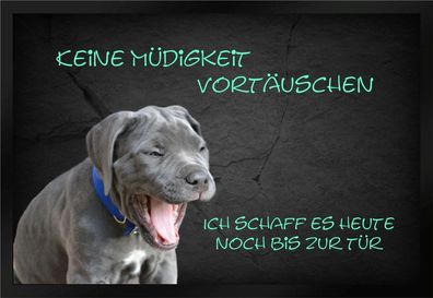 Fußmatte Schmutzfangmatte rutschfest keine Müdigkeit vortäuschen F481 75x50 cm