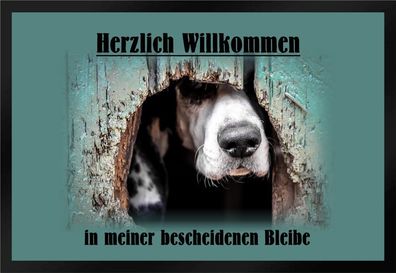Fußmatte Schmutzfangmatte Willkommen in bescheidener Bleibe F450 75x50 cm