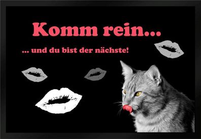 Fußmatte Schmutzfangmatte Komm herein du bist der nächste Katze F428 60x40 cm