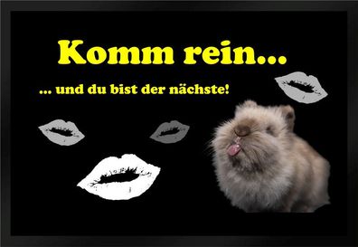 Fußmatte Schmutzfangmatte Komm herein du bist der nächste F427 75x50 cm