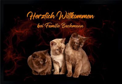 Fußmatte Schmutzfangmatte Wunschtext Katzen personalisiert F186 60x40 cm