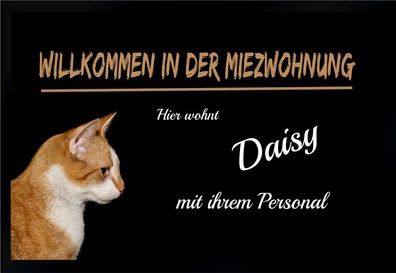 Fußmatte Schmutzfangmatte Wunschtext Katzen Miezwohnung 60x40 cm F232