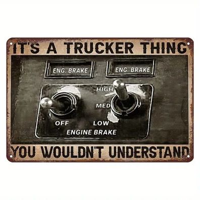 Blechschild Das ist ein Trucker Ding, das verstehst du nicht 30x20cm Retro TE697