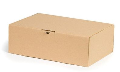 Maxibriefkarton Kleiderbox Klappdeckelkarton 300x300x100 mm Innenmass Braun Neu