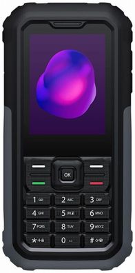 TCL 3189 Dual-SIM Himalaya Gray - Neuwertiger Zustand ohne Vertrag DE Händler
