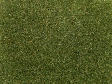 NOCH 0, 0, T, , 8364 Streugras, mittelgrün, 4 mm, 20g