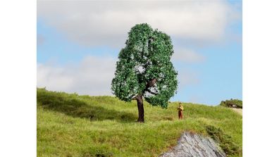 Noch G,1,0, 0, 0M, 0E, T, , 20111 Eiche 10 cm hoch