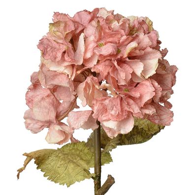 Clayre & Eef Kunstblume Hortensie 55 cm Rosa Kunststoff (Gr. 10x10x55 cm)
