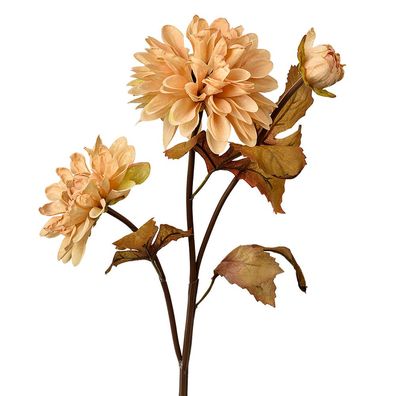 Clayre & Eef Kunstblume 66 cm Beige Kunststoff (Gr. 10x10x66 cm)