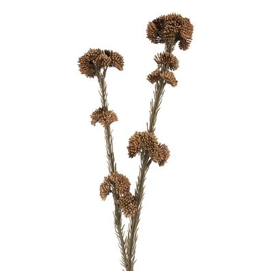 Clayre & Eef Kunstblume 6x6x58 cm Braun Kunststoff (Gr. 6x6x58 cm)