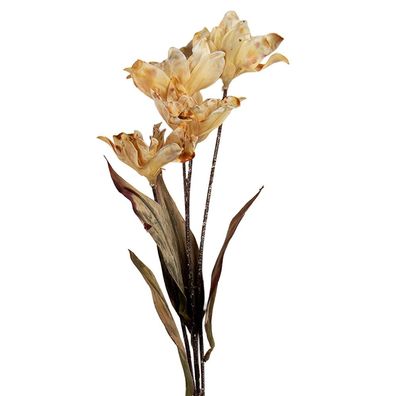 Clayre & Eef Kunstblume 8x5x60 cm Beige Kunststoff (Gr. 8x5x60 cm)