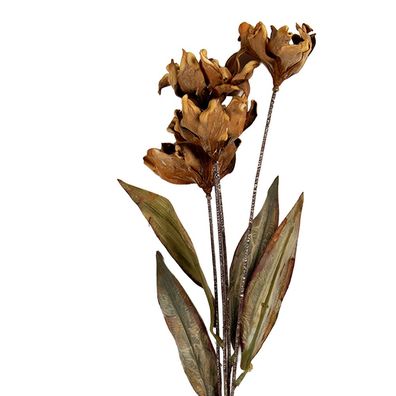 Clayre & Eef Kunstblume 8x5x60 cm Beige Kunststoff (Gr. 8x5x60 cm)