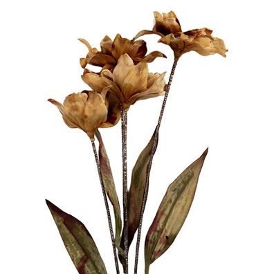 Clayre & Eef Kunstblume 8x5x60 cm Braun Kunststoff (Gr. 8x5x60 cm)