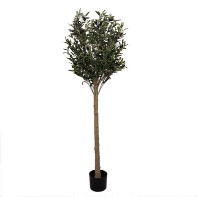Clayre & Eef Künstlicher Olivenbaum 165 cm Grün Kunststoff (Gr. 50x50x165 cm)