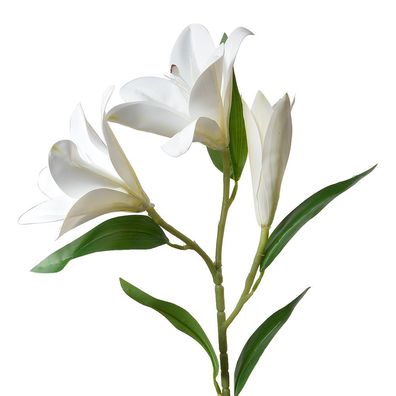 Clayre & Eef Kunstblume 71 cm Weiß Kunststoff (Gr. 17x12x71 cm)