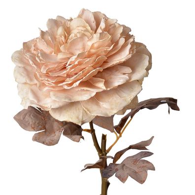 Clayre & Eef Kunstblume Rose 60 cm Rosa Kunststoff (Gr. 10x10x60 cm)