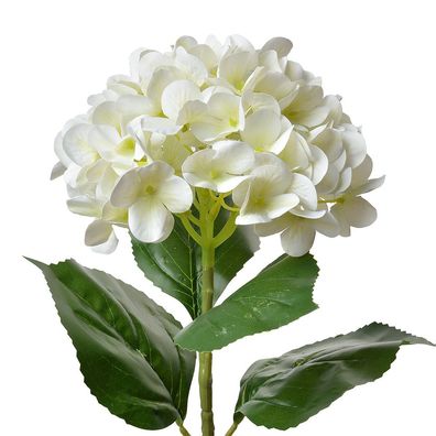 Clayre & Eef Kunstblume Hortensie 68 cm Beige Kunststoff (Gr. 16x15x68 cm)