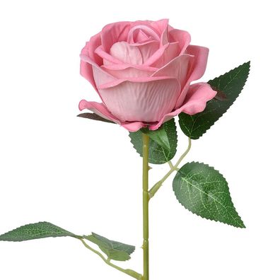 Clayre & Eef Kunstblume Rose 50 cm Rosa Kunststoff (Gr. 8x8x50 cm)