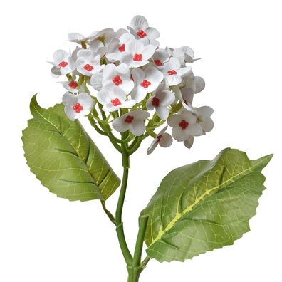 Clayre & Eef Kunstblume 37 cm Weiß Kunststoff (Gr. 19x10x37 cm)