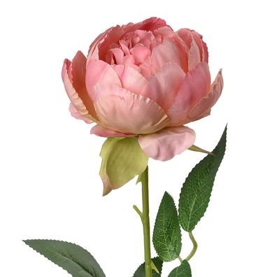 Clayre & Eef Kunstblume Rose 62 cm Rosa Kunststoff (Gr. 8x8x62 cm)