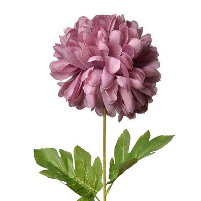 Clayre & Eef Kunstblume 80 cm Violett Kunststoff (Gr. 15x15x80 cm)