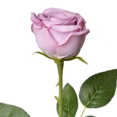 Clayre & Eef Kunstblume Rose 61 cm Violett Kunststoff (Gr. 9x9x61 cm)