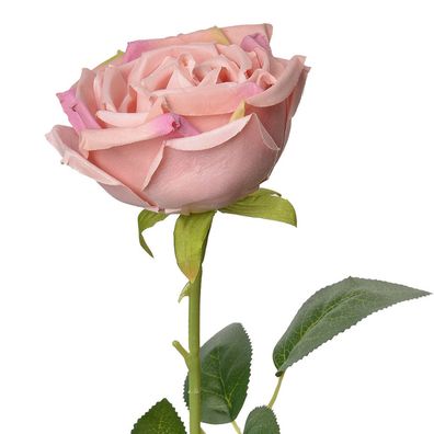 Clayre & Eef Kunstblume Rose 61 cm Rosa Kunststoff (Gr. 9x9x61 cm)
