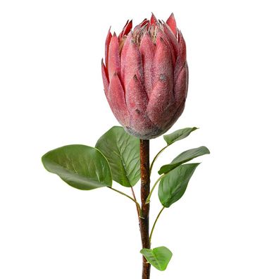 Clayre & Eef Kunstblume 65 cm Rosa Kunststoff (Gr. 10x10x65 cm)