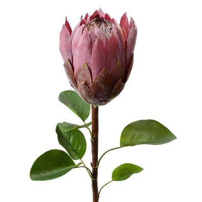 Clayre & Eef Kunstblume 65 cm Violett Kunststoff (Gr. 10x10x65 cm)