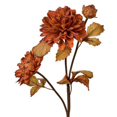 Clayre & Eef Kunstblume 66 cm Braun Kunststoff (Gr. 10x10x66 cm)