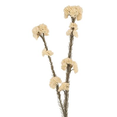 Clayre & Eef Kunstblume 6x6x58 cm Weiß Kunststoff (Gr. 6x6x58 cm)