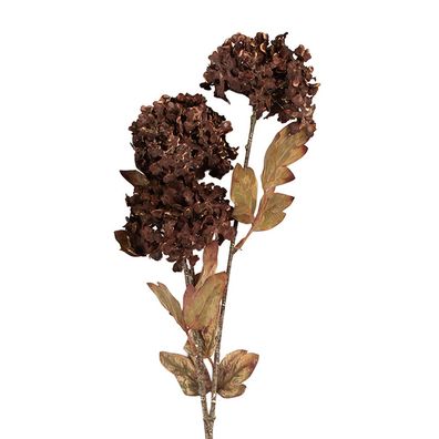 Clayre & Eef Kunstblume 10x8x76 cm Braun Kunststoff (Gr. 10x8x76 cm)