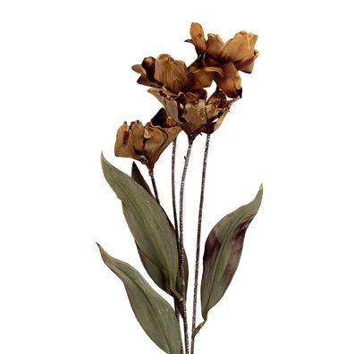 Clayre & Eef Kunstblume 8x5x60 cm Braun Kunststoff (Gr. 8x5x60 cm)