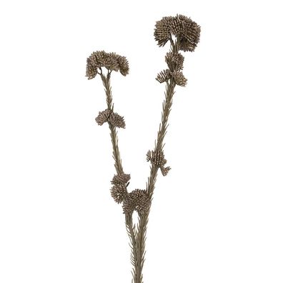 Clayre & Eef Kunstblume 6x6x58 cm Grau Kunststoff (Gr. 6x6x58 cm)