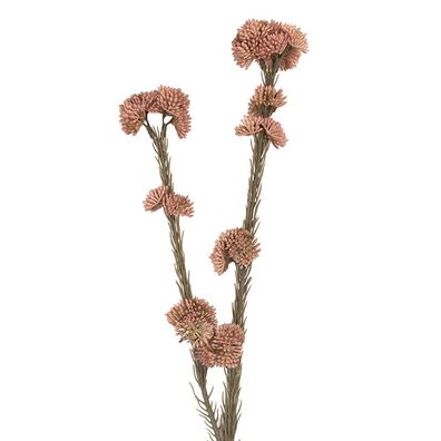 Clayre & Eef Kunstblume 6x6x58 cm Rosa Kunststoff (Gr. 6x6x58 cm)