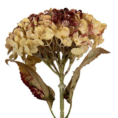 Clayre & Eef Kunstblume 15x15x47 cm Rosa Kunststoff (Gr. 15x15x47 cm)