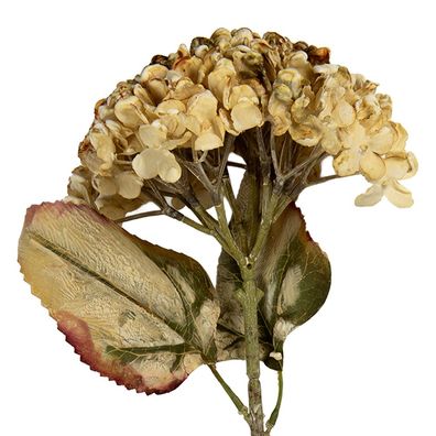 Clayre & Eef Kunstblume 15x15x47 cm Beige Kunststoff (Gr. 15x15x47 cm)
