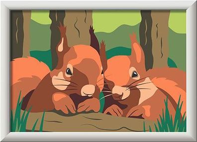 Kuschelnde Eichhörnchen