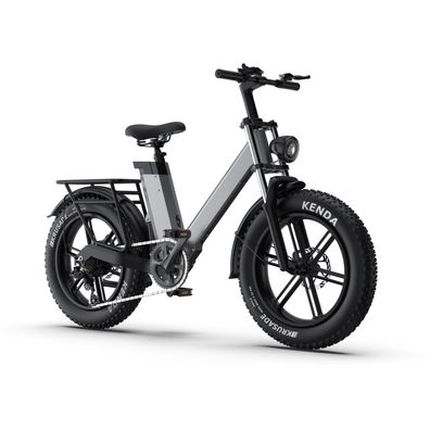 20 Zoll Elektrofahrrad Offroad-E-Bike mit 48V 17.5AH Herausnehmbarer mittlerer Akku