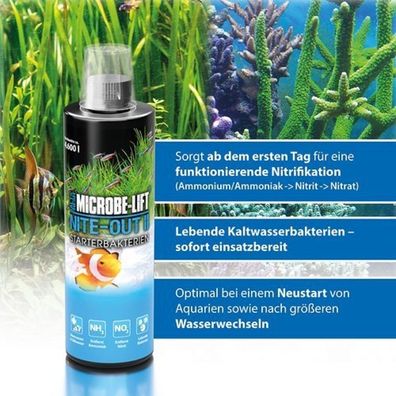 ARKA Nite-Out II 5 Liter Starterbaktereien Filterstarter