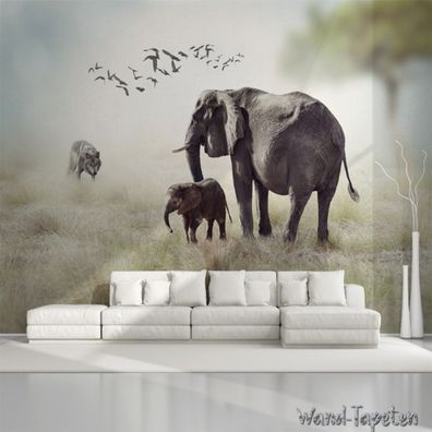 Vlies Fototapete Wandtapete Wandbilder Minimalistische Elefantenmutterliebe 2880