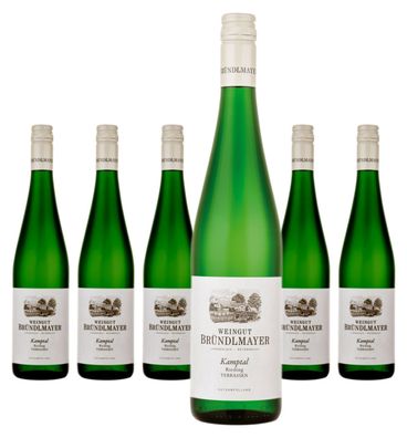 6 x Bründlmayer Riesling Kamptal Terrassen – 2024