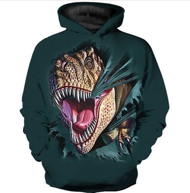 Jungen Madchen Dinosaurier Hoodie Kinder Sweatshirt Kinder Trainingsanzug Casual