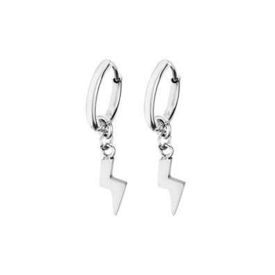 Stylish earrings with flash LS2228-4 / 1